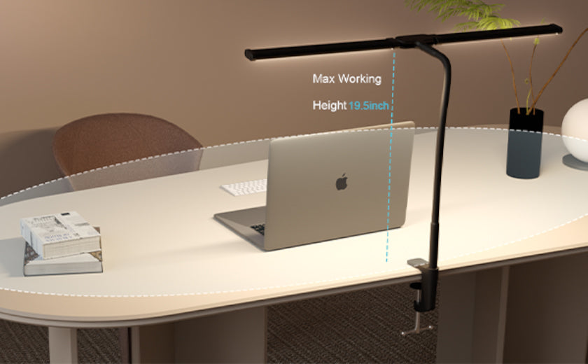 LED Dual-Head Desk Lamp